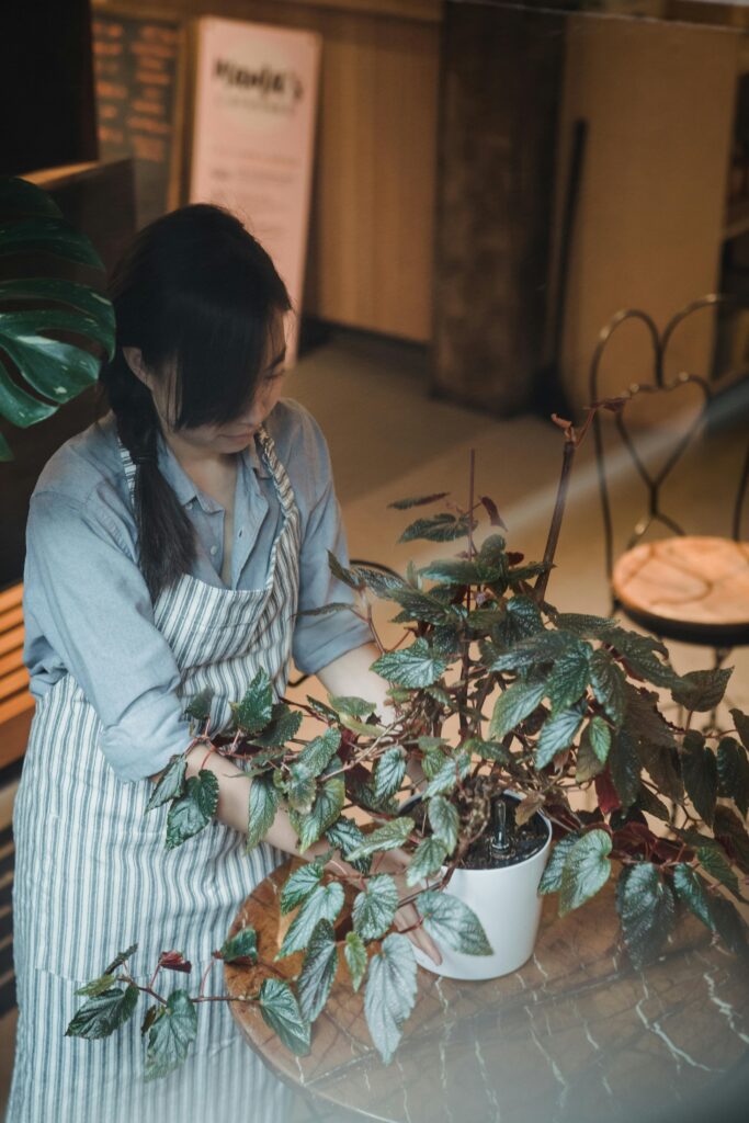 A young woman in an apron caring for a potted plant in a cozy café setting.