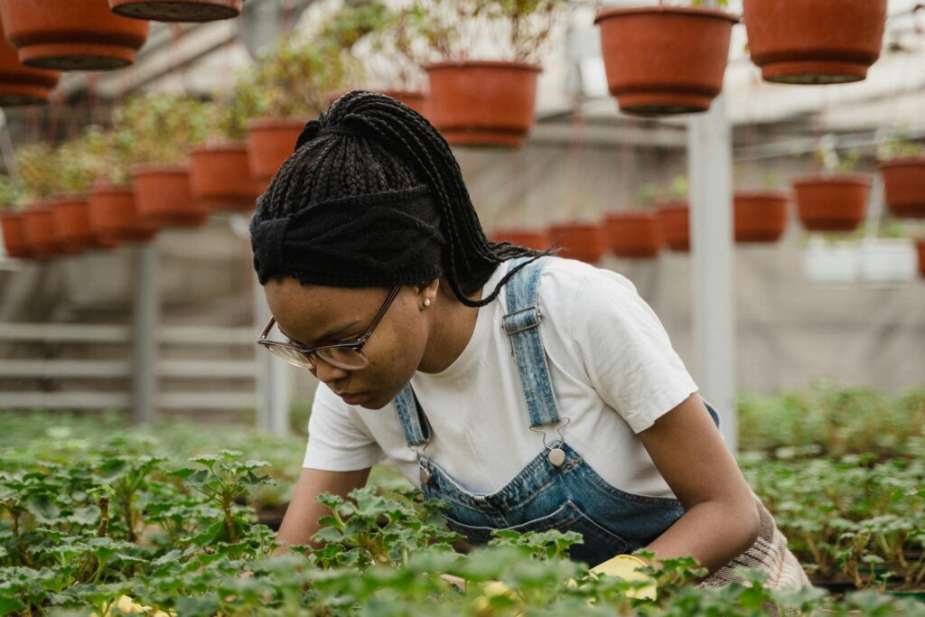 Woman carefully tending to plants in a greenhouse, showcasing horticultural work.